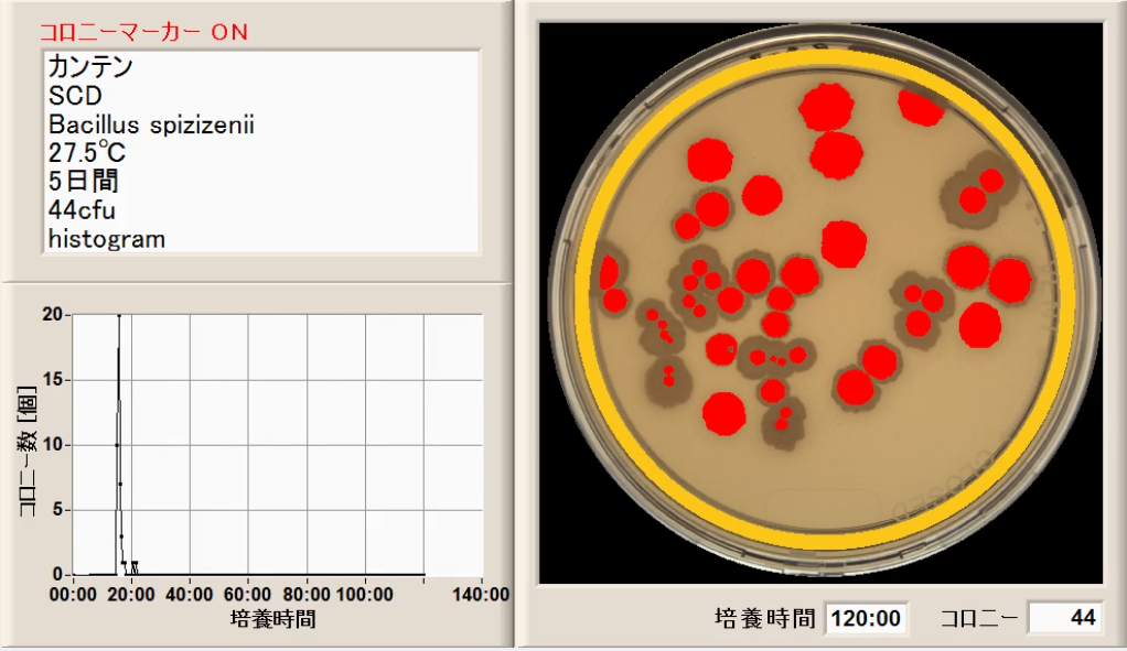 微生物限度試験/Bacillus